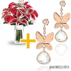 Morellato Earrings offer (Curated)
